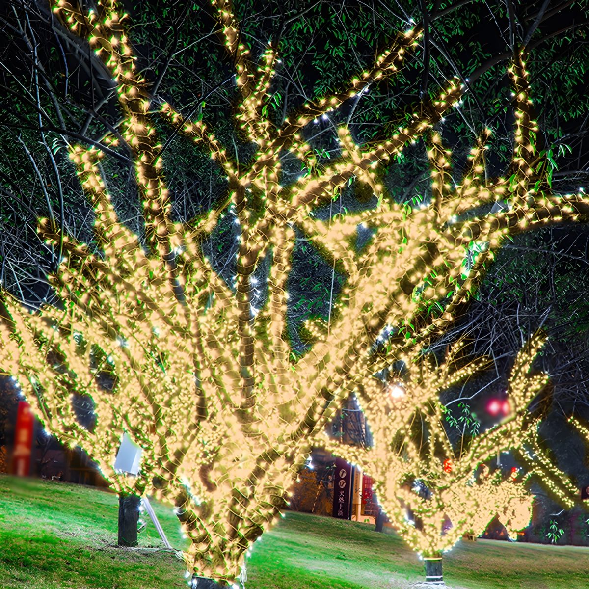 Beaded LED Fairy Lamp Artistic Plastic Black Solar Christmas String Light for Courtyard