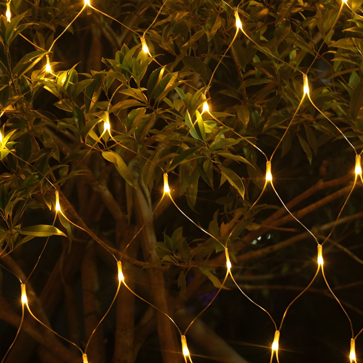9.8ft Fishnet LED Fairy Lamp Artistic Plastic Courtyard Solar String Light in Clear