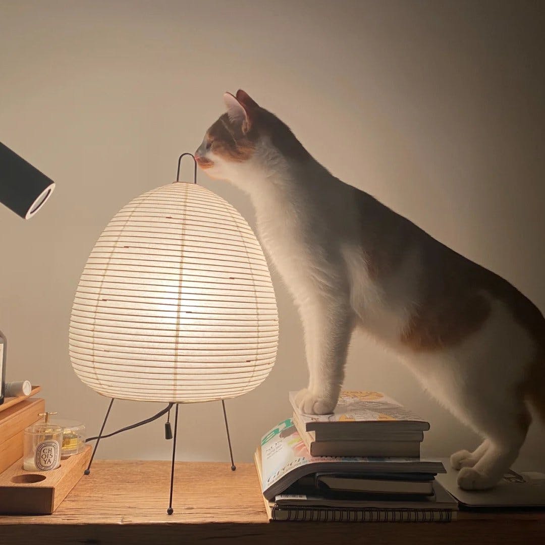 Akari 1A Table Lamp