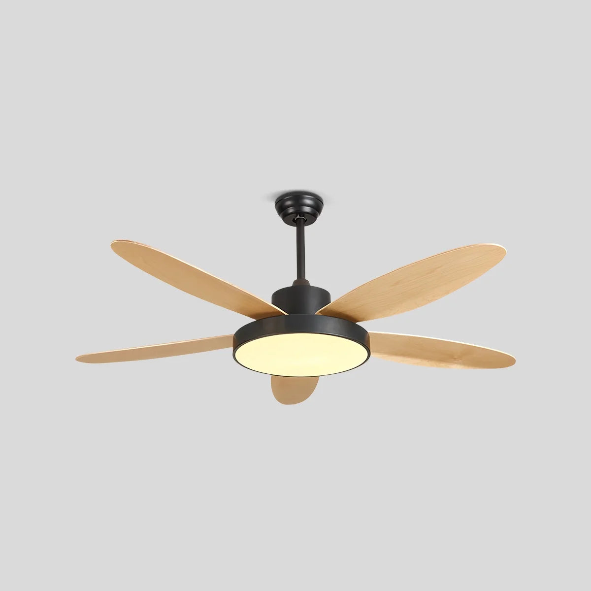 5 Blade Modern Ceiling Fan Lamp for Living Room