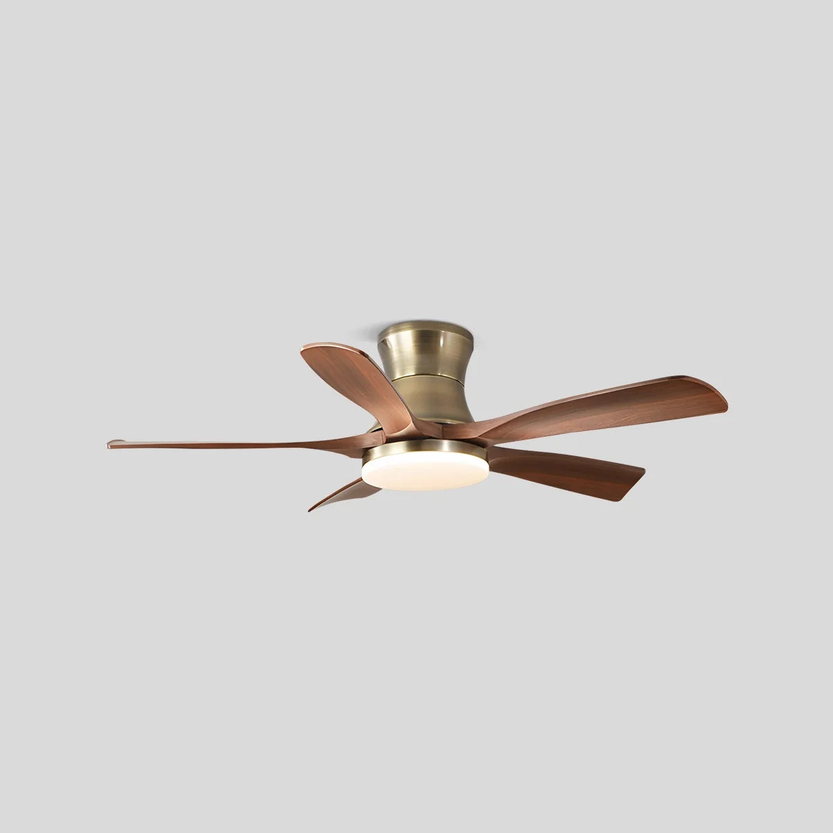 Modern 5-leaf Remote Control Ceiling Fan Light