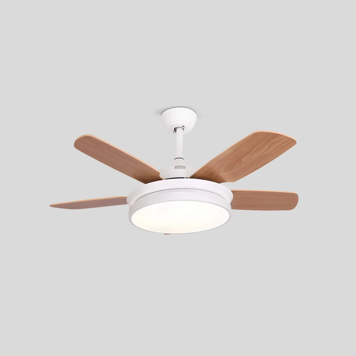 5 Blade Ceiling Fan Light for Living Room