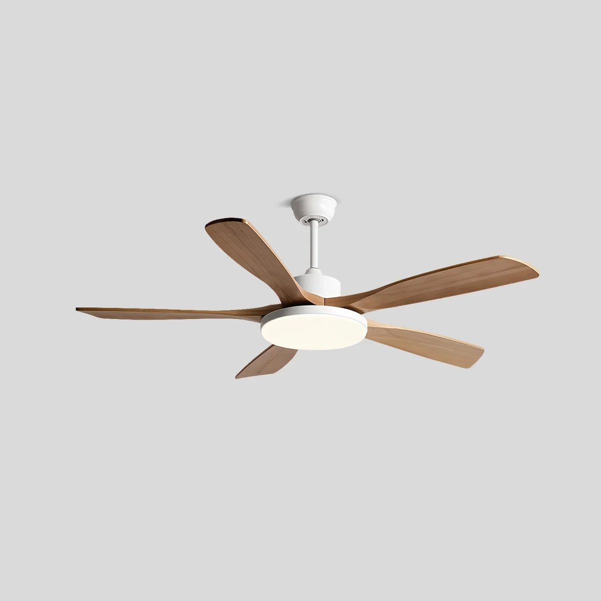 Living Room Minimalist Ceiling Fan with Light