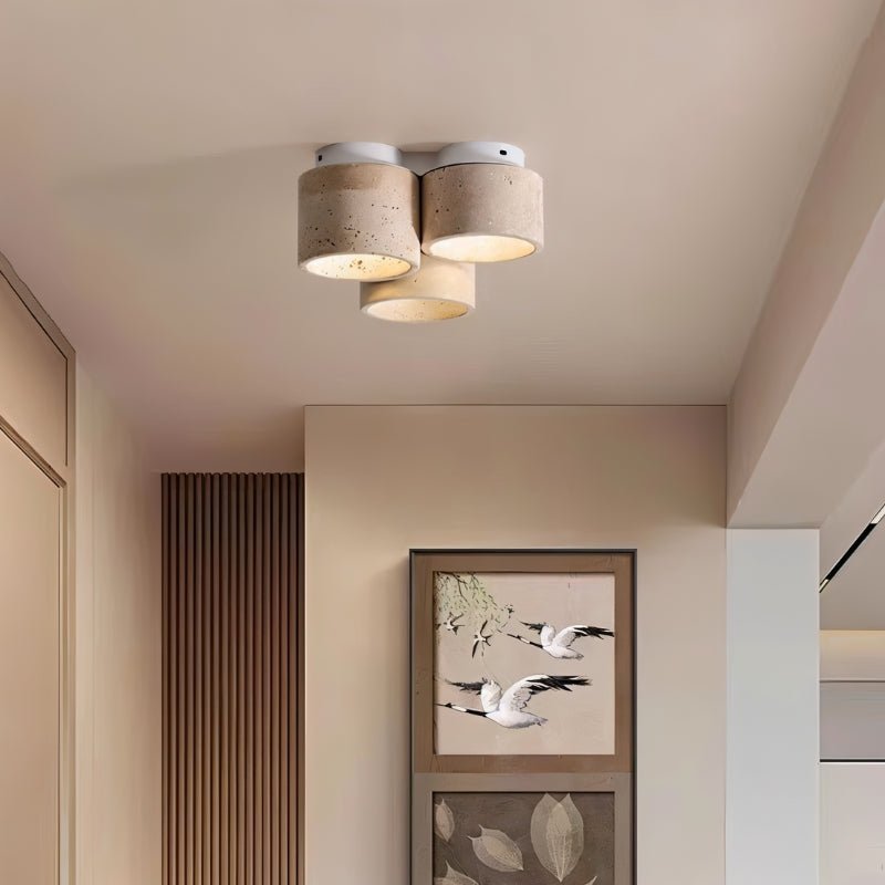 Vikra Ceiling Light