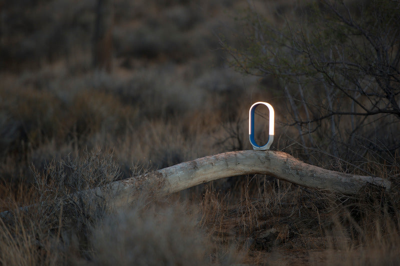 Mr. Go Lantern Light