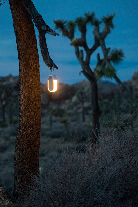 Mr. Go Lantern Light
