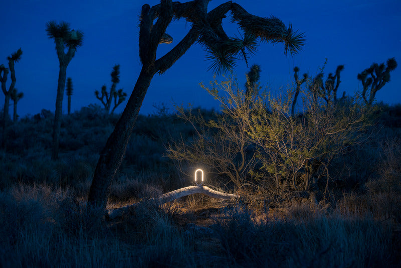 Mr. Go Lantern Light