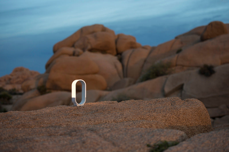 Mr. Go Lantern Light