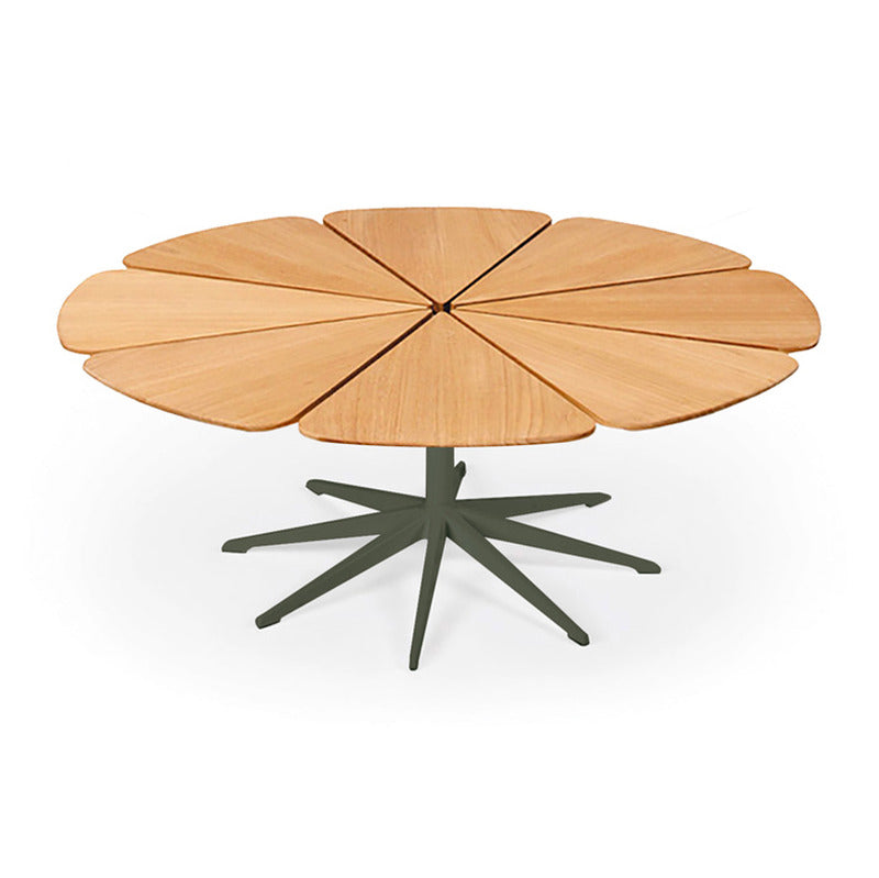Petal Coffee Table