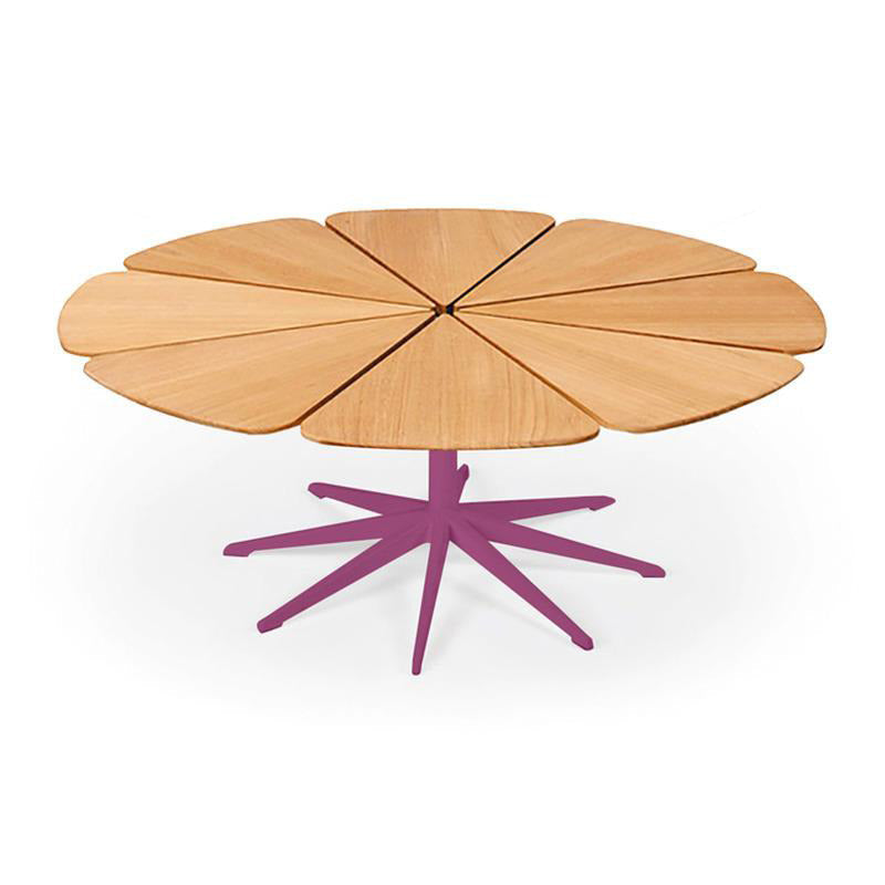 Petal Coffee Table