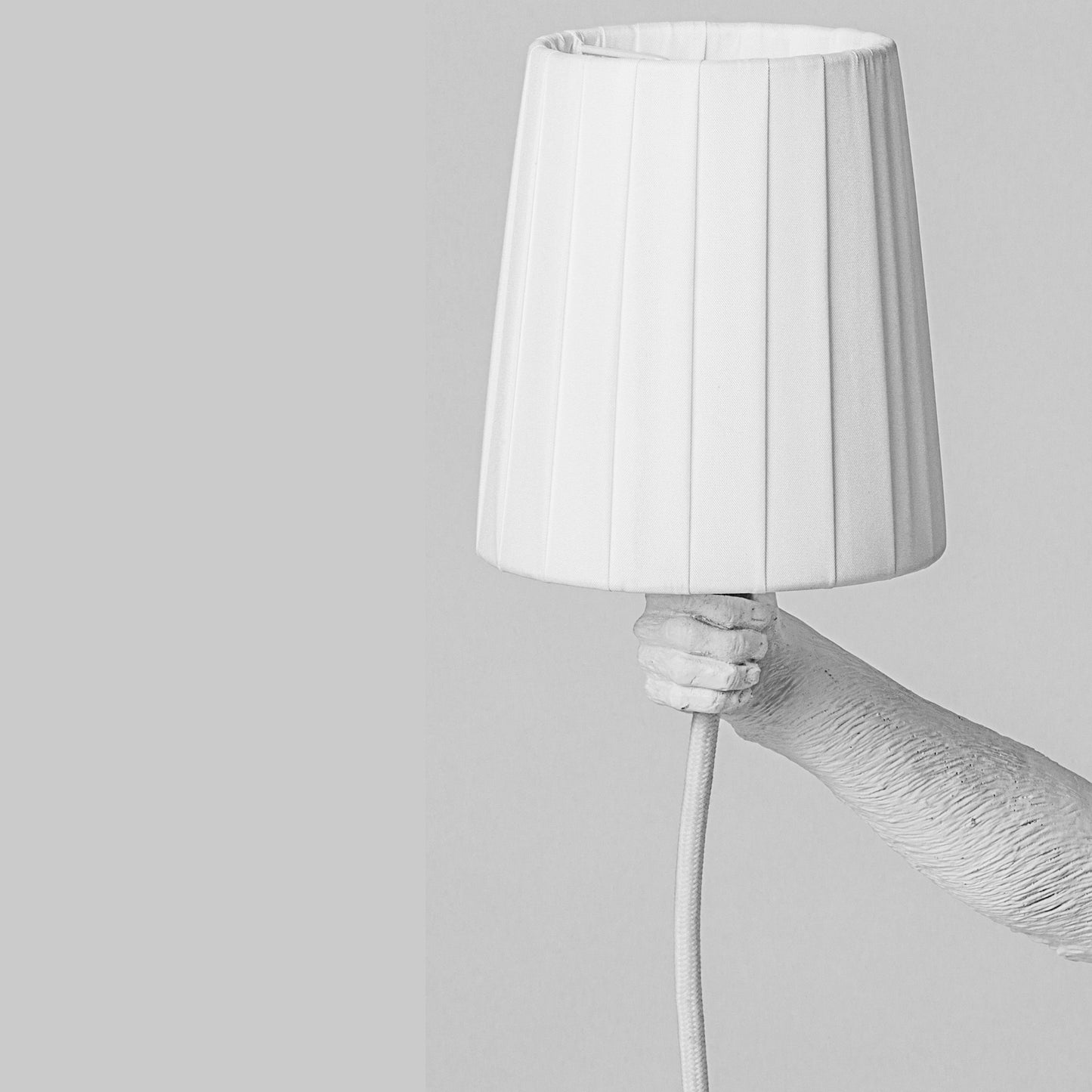 The Monkey Lamp Sitting Version