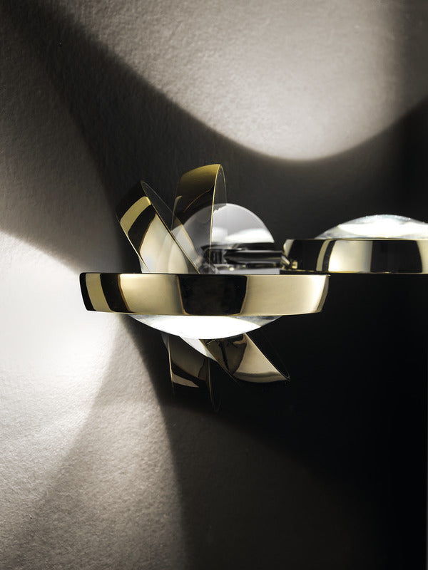 Nautilus Wall Light