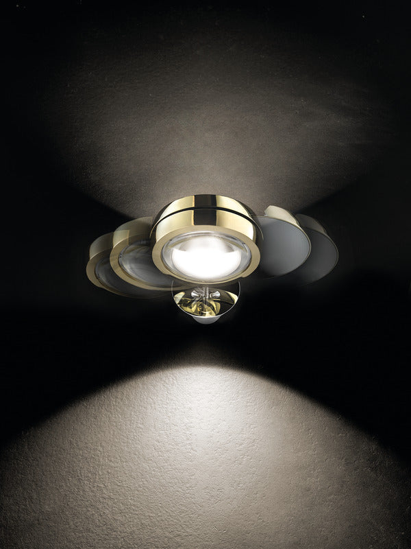 Nautilus Wall Light