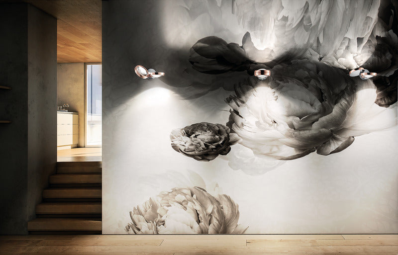 Nautilus Wall Light