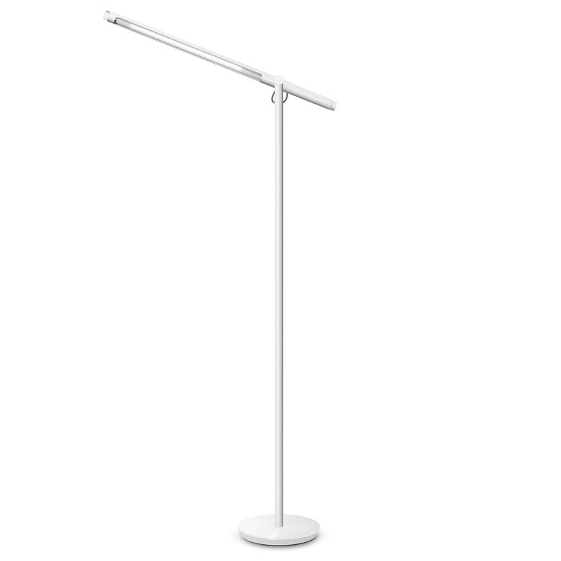 Brazo Floor Lamp