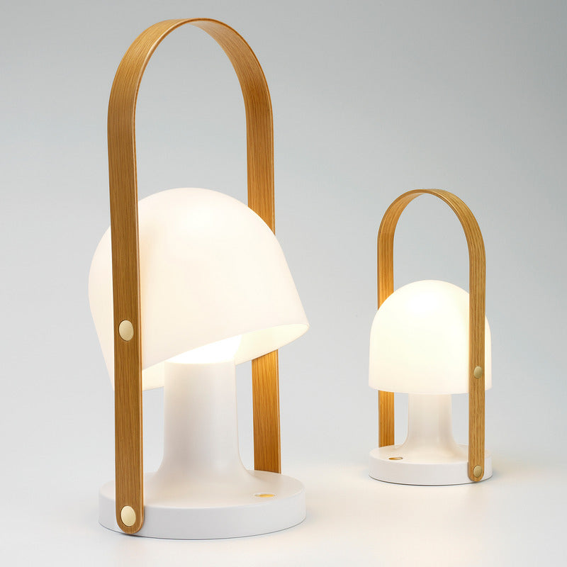 FollowMe Plus Indoor/Outdoor Portable Lamp