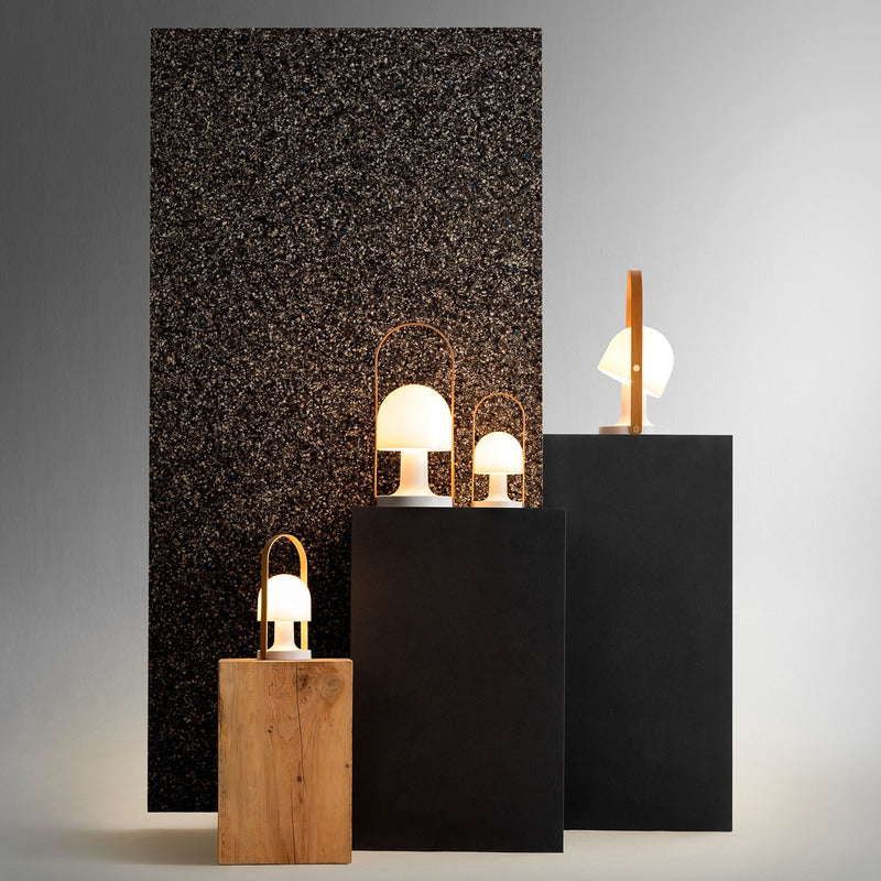 FollowMe Plus Indoor/Outdoor Portable Lamp