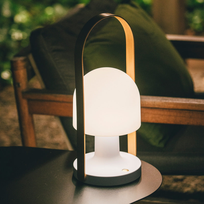FollowMe Plus Indoor/Outdoor Portable Lamp