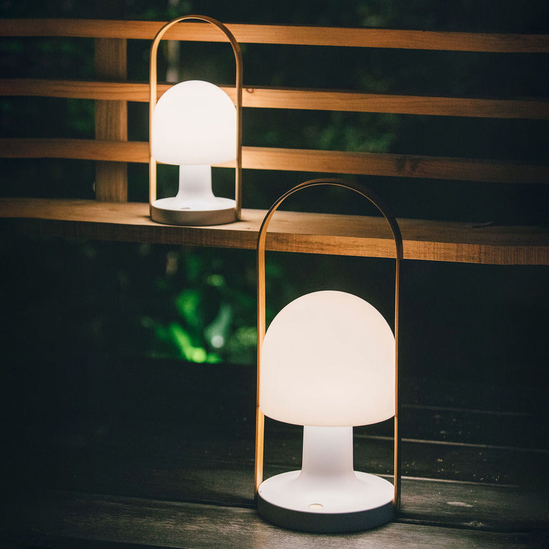 FollowMe Plus Indoor/Outdoor Portable Lamp