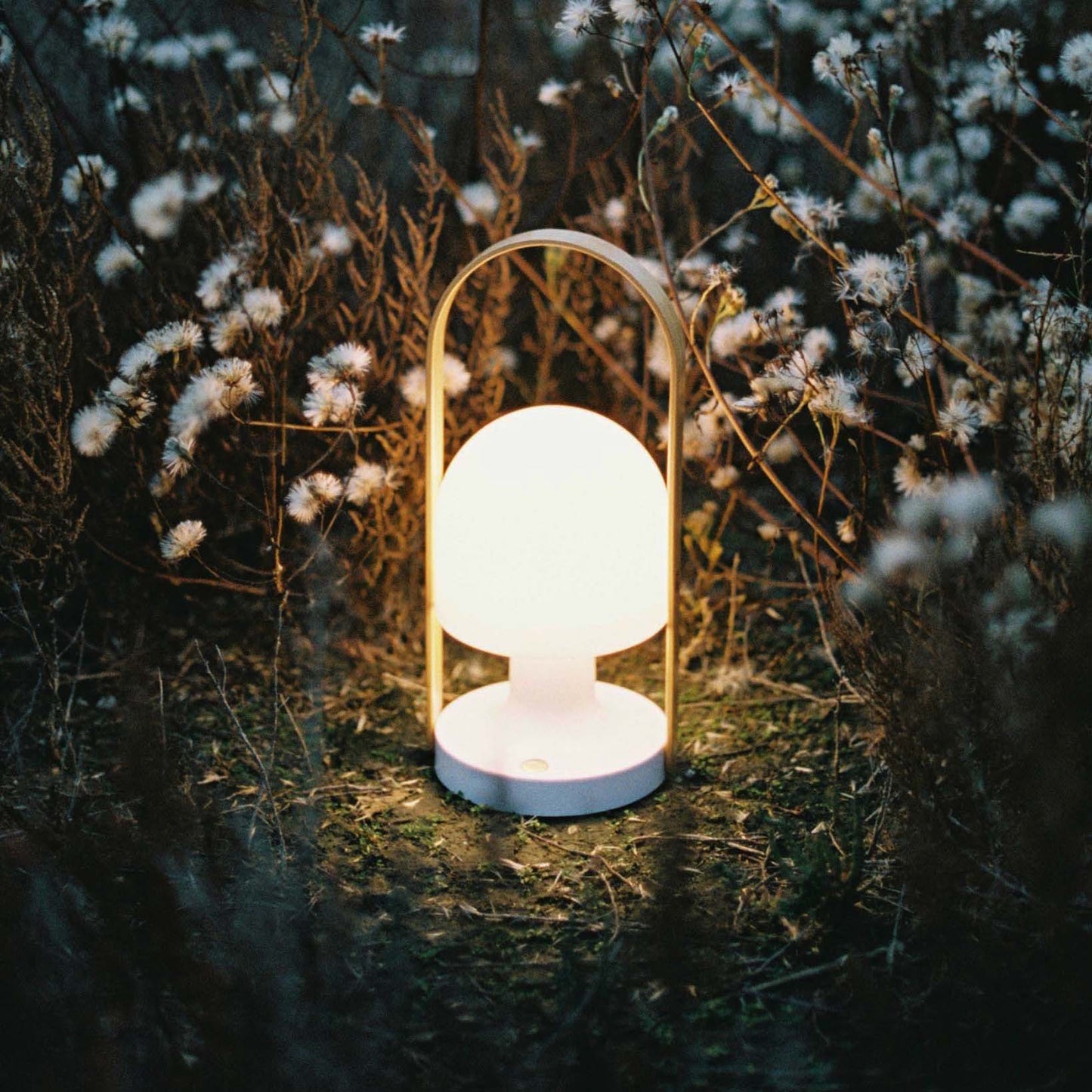 FollowMe Plus Indoor/Outdoor Portable Lamp