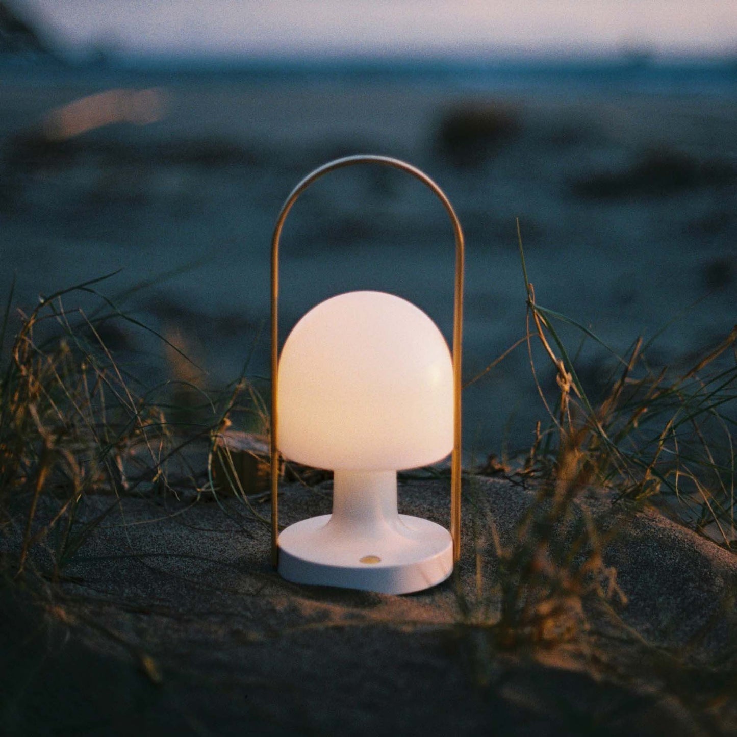 FollowMe Plus Indoor/Outdoor Portable Lamp