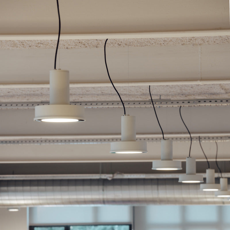 Arne S Domus Pendant Light