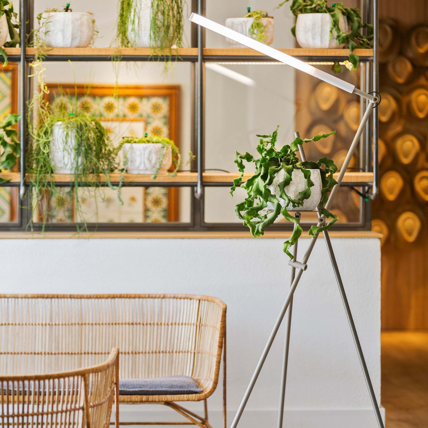 Asana 3768 Floor Lamp