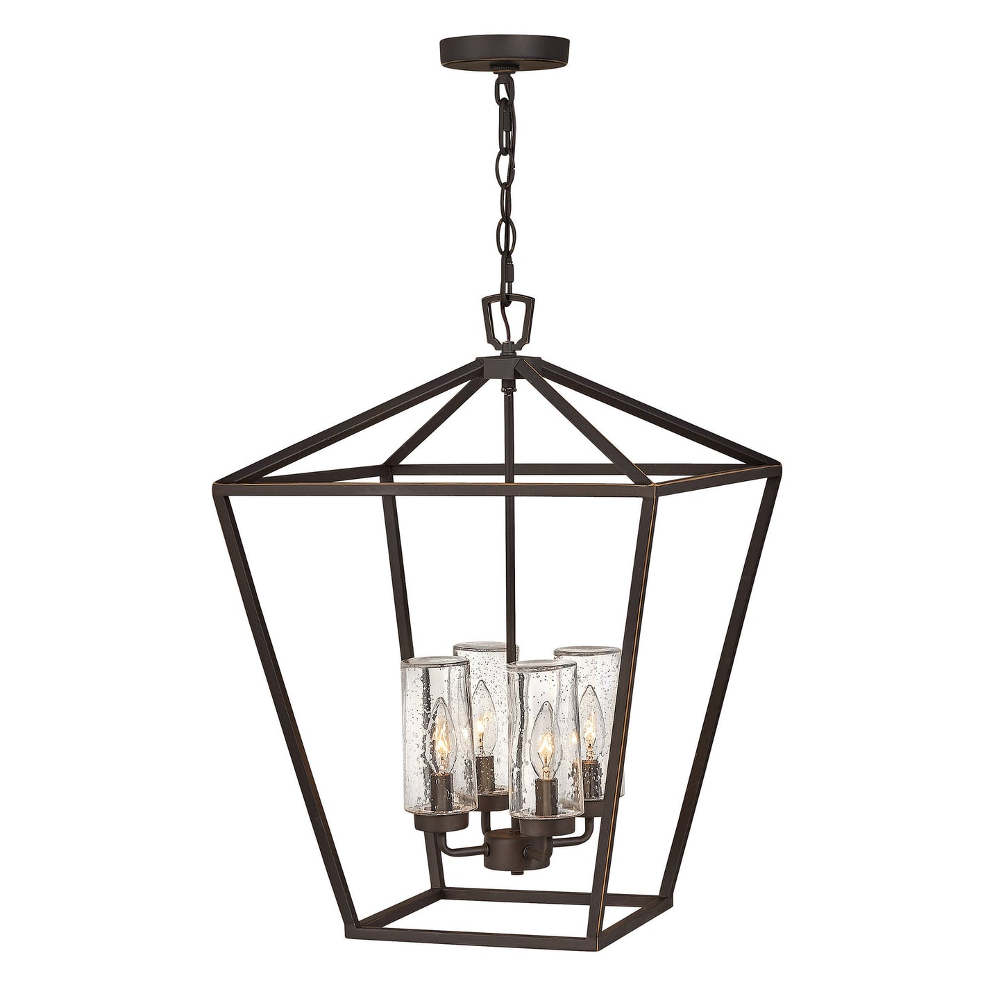 Alford Place 4-Light Outdoor Pendant Light