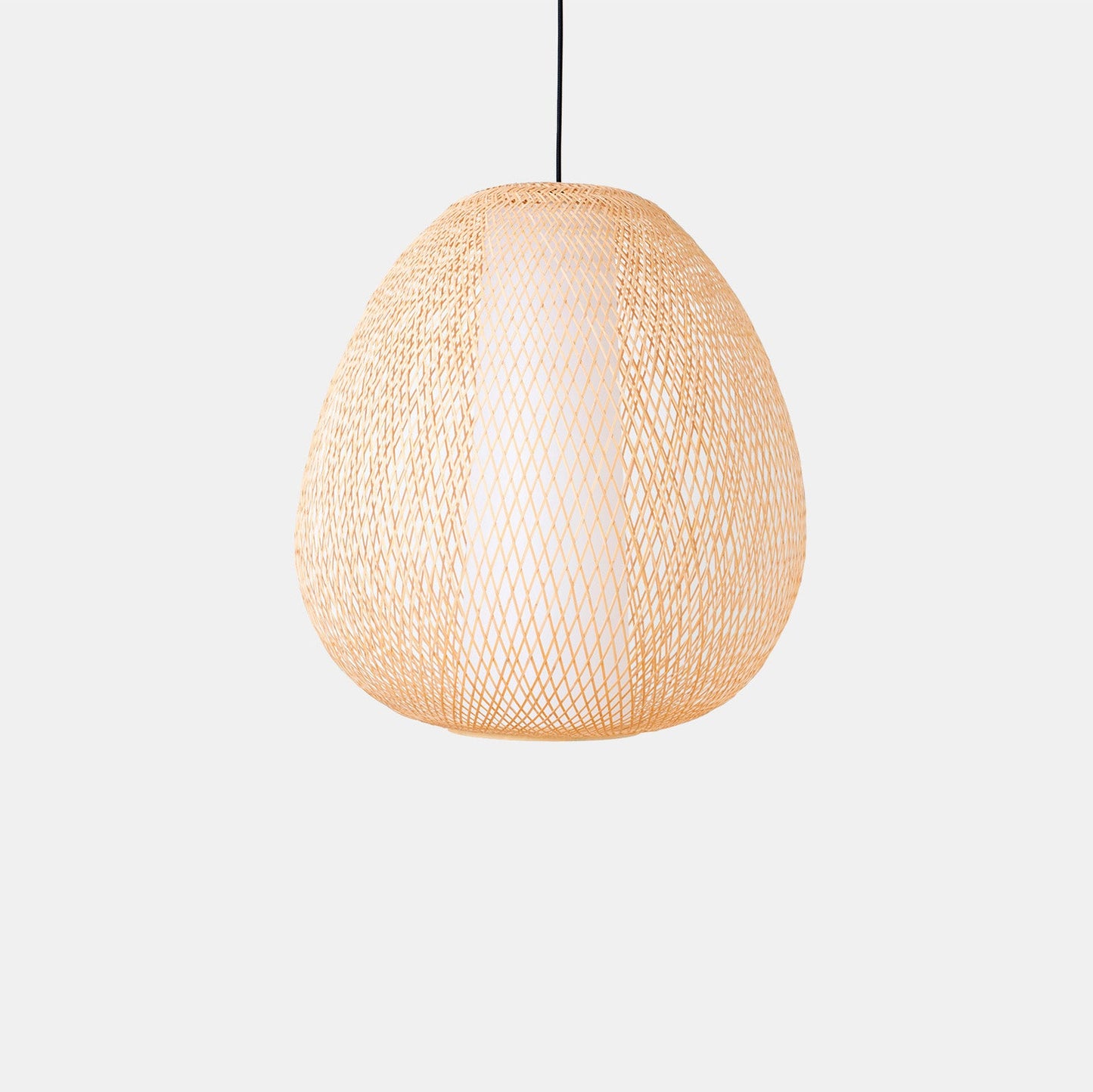 Twiggy Egg Pendant Light