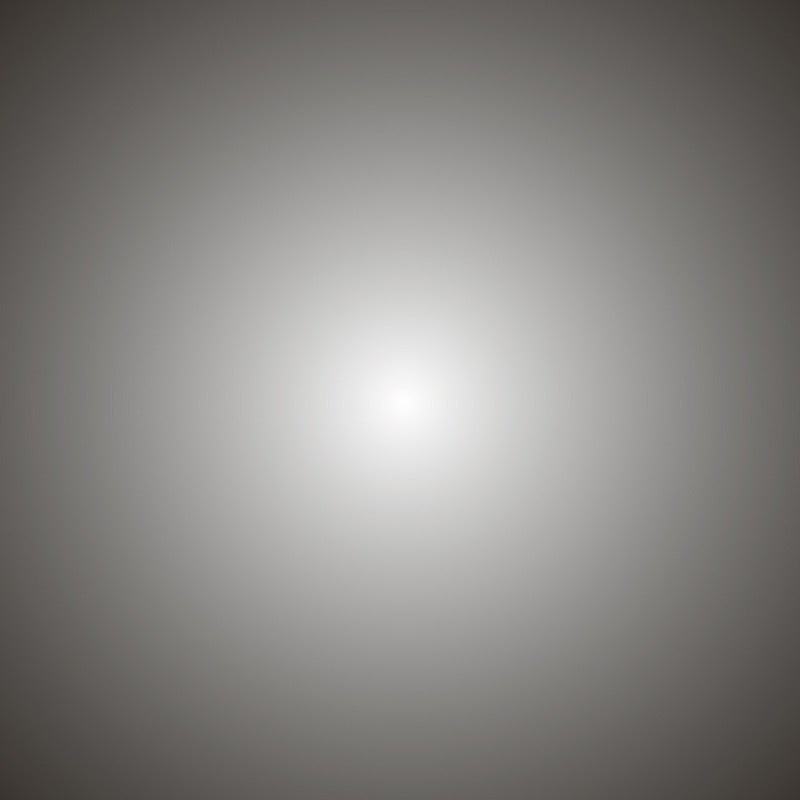 Arborescence Large Floor Lamp