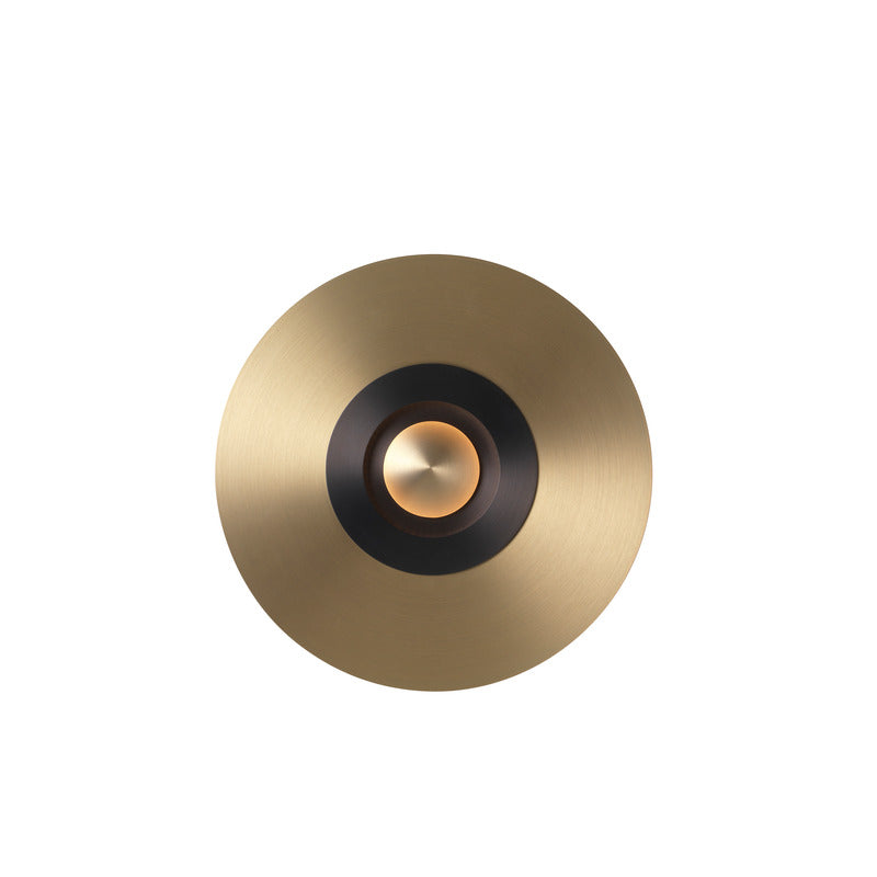 Earth Sober Wall / Ceiling Light