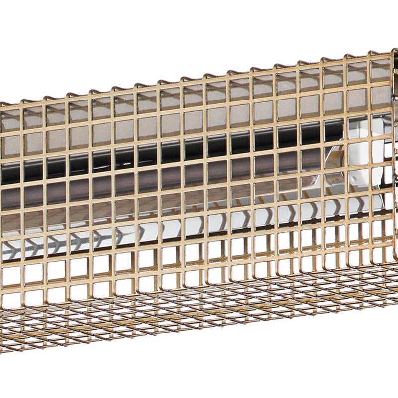 Grid Wall Light