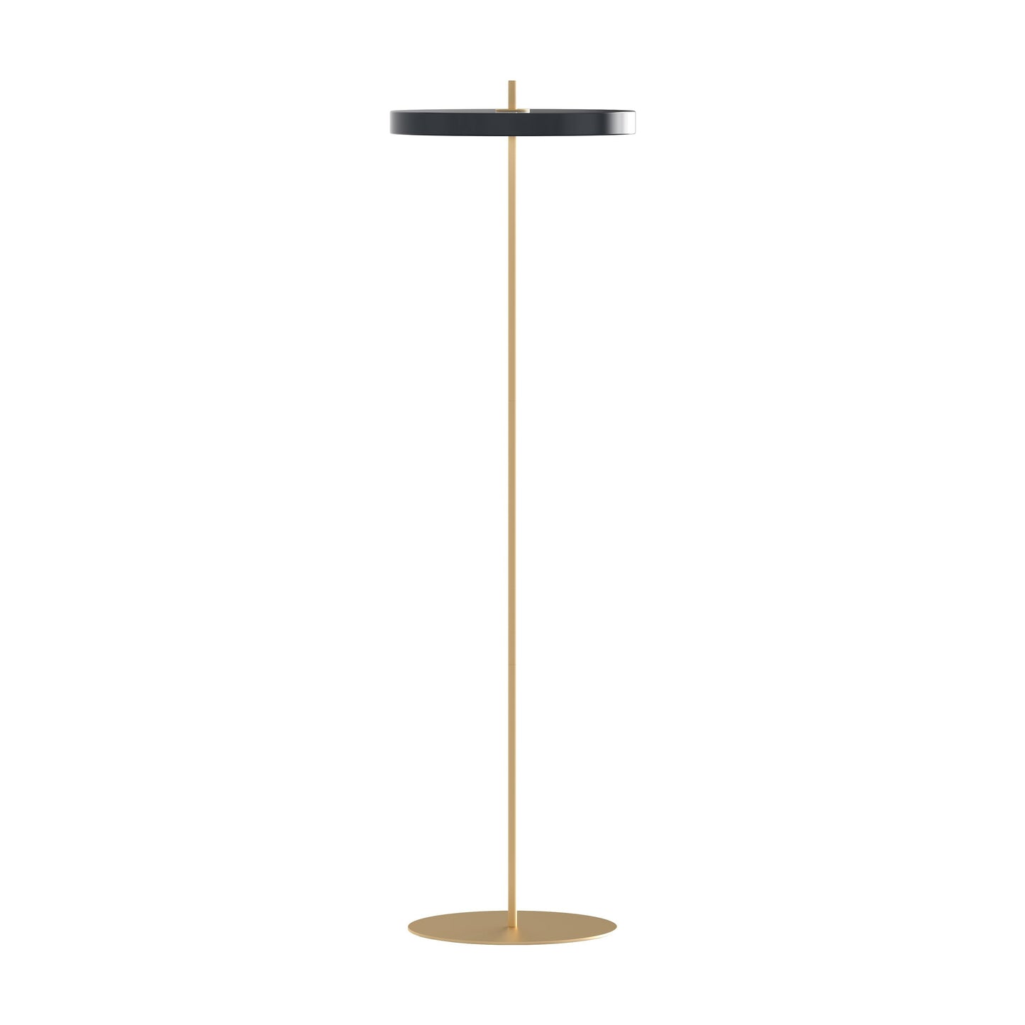 Asteria Floor Lamp