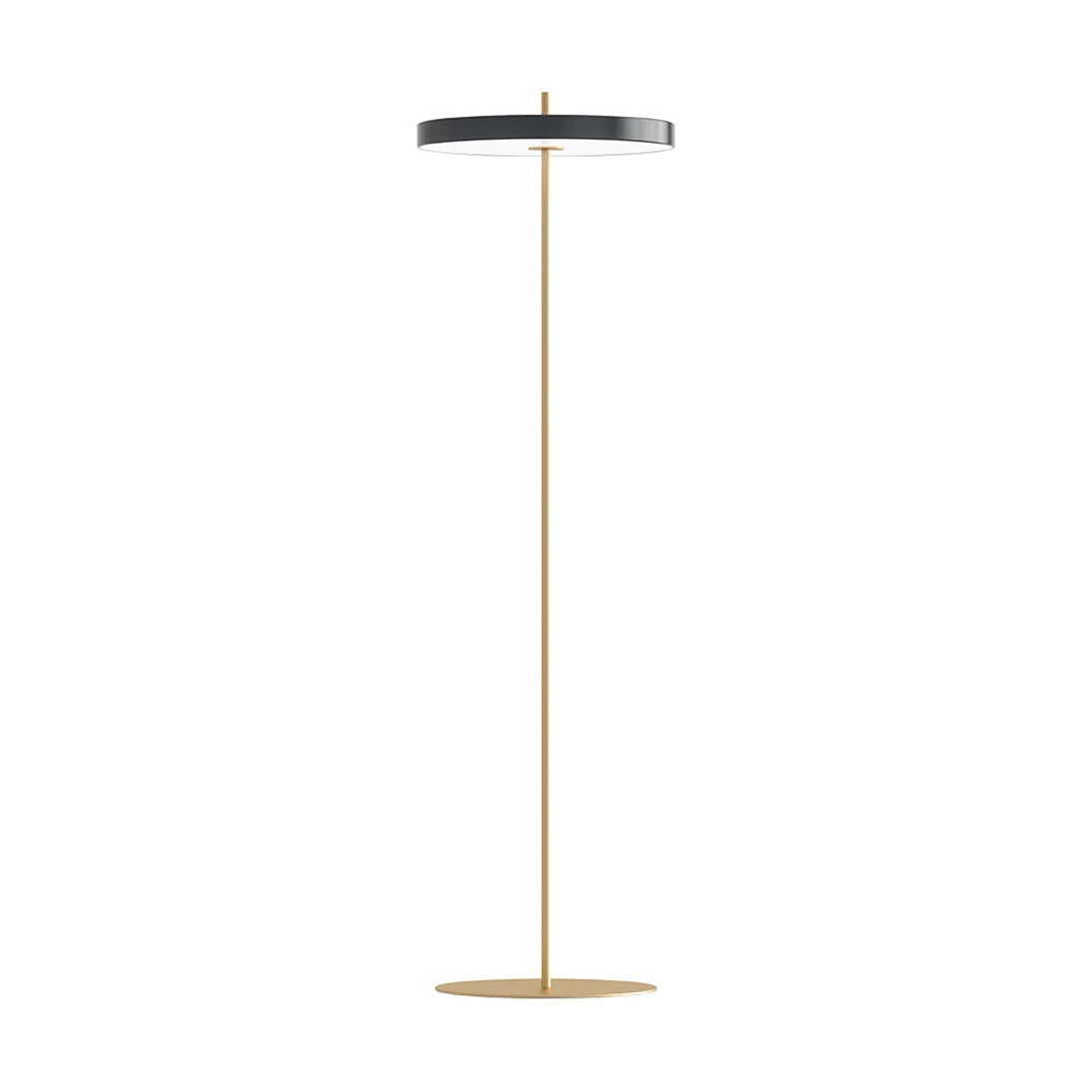 Asteria Floor Lamp