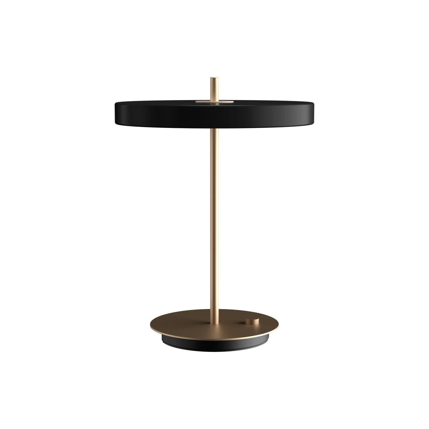 Asteria Table Lamp
