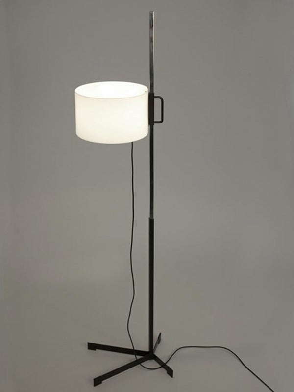 TMC Adjustable Floor Lamp