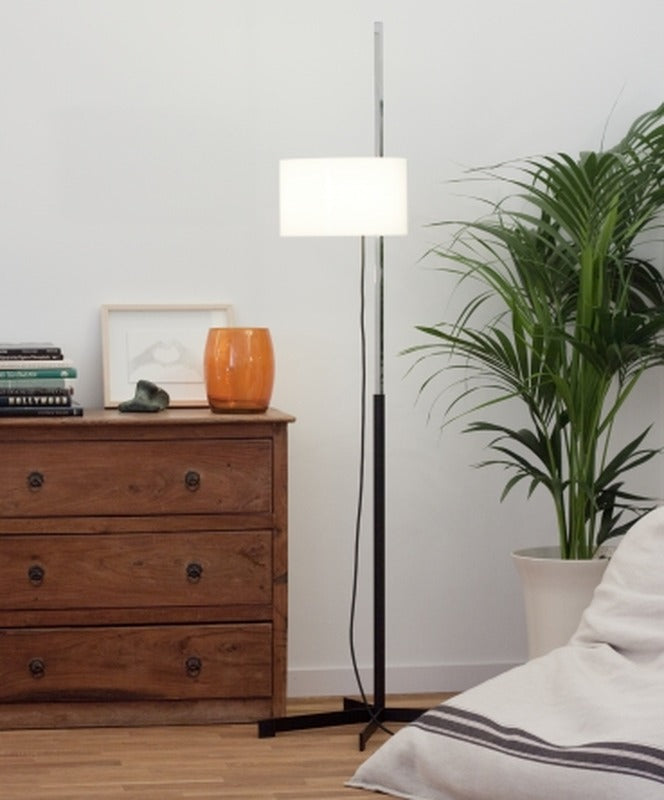TMC Adjustable Floor Lamp