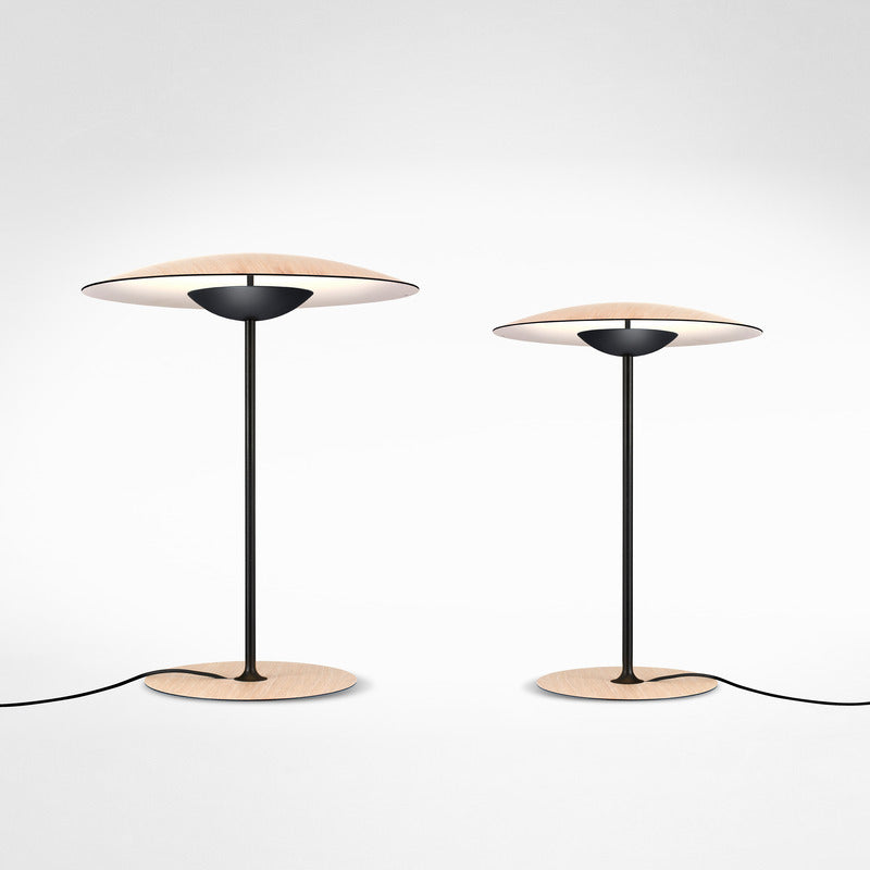 LED Ginger Table Lamp