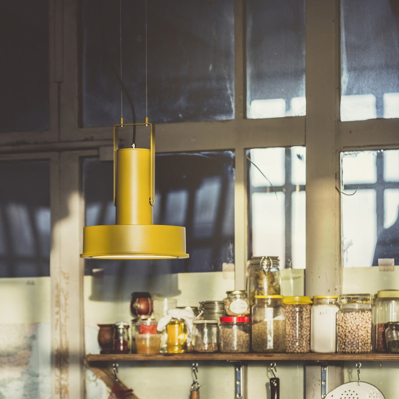 Arne Domus Indoor/Outdoor Pendant Light