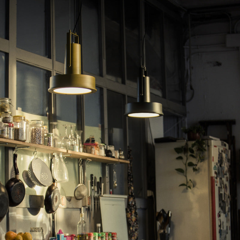 Arne Domus Indoor/Outdoor Pendant Light