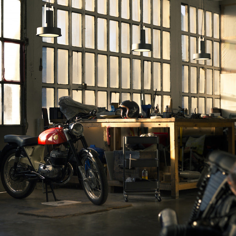 Arne Domus Indoor/Outdoor Pendant Light