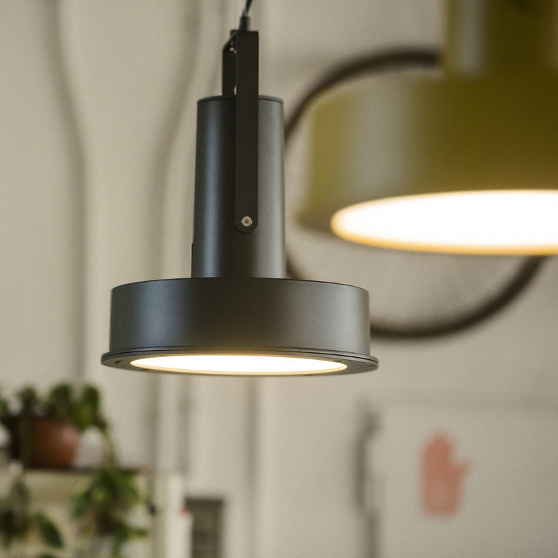 Arne Domus Indoor/Outdoor Pendant Light