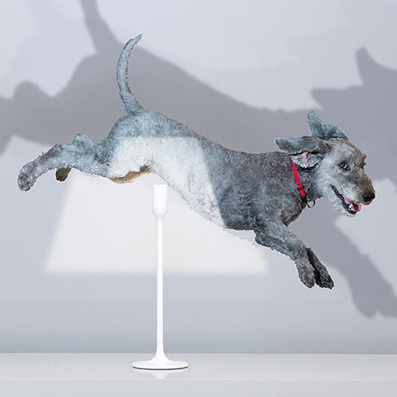 YOY Table Lamp