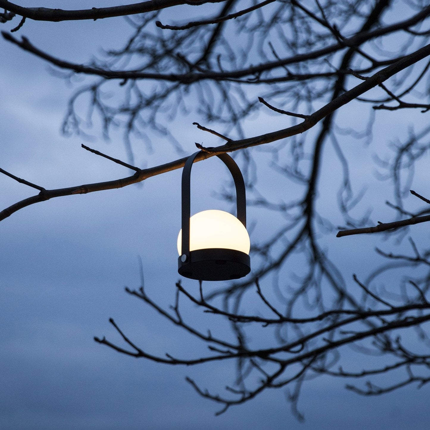 Carrie Portable LED Lamp