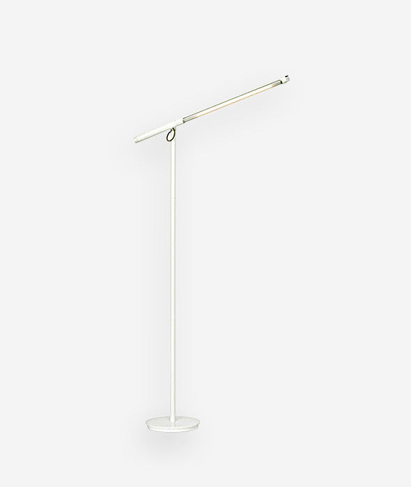 Brazo Floor Lamp - More Options