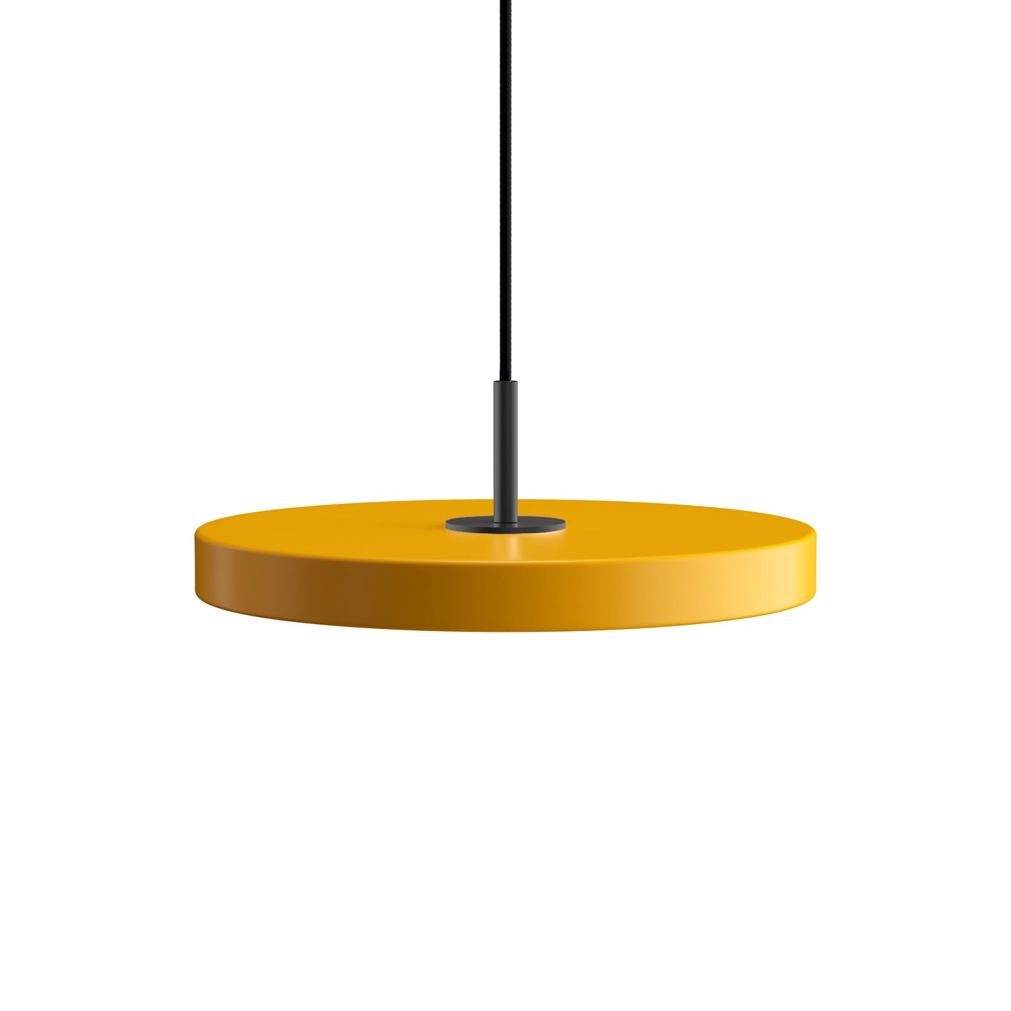 Asteria Pendant Light