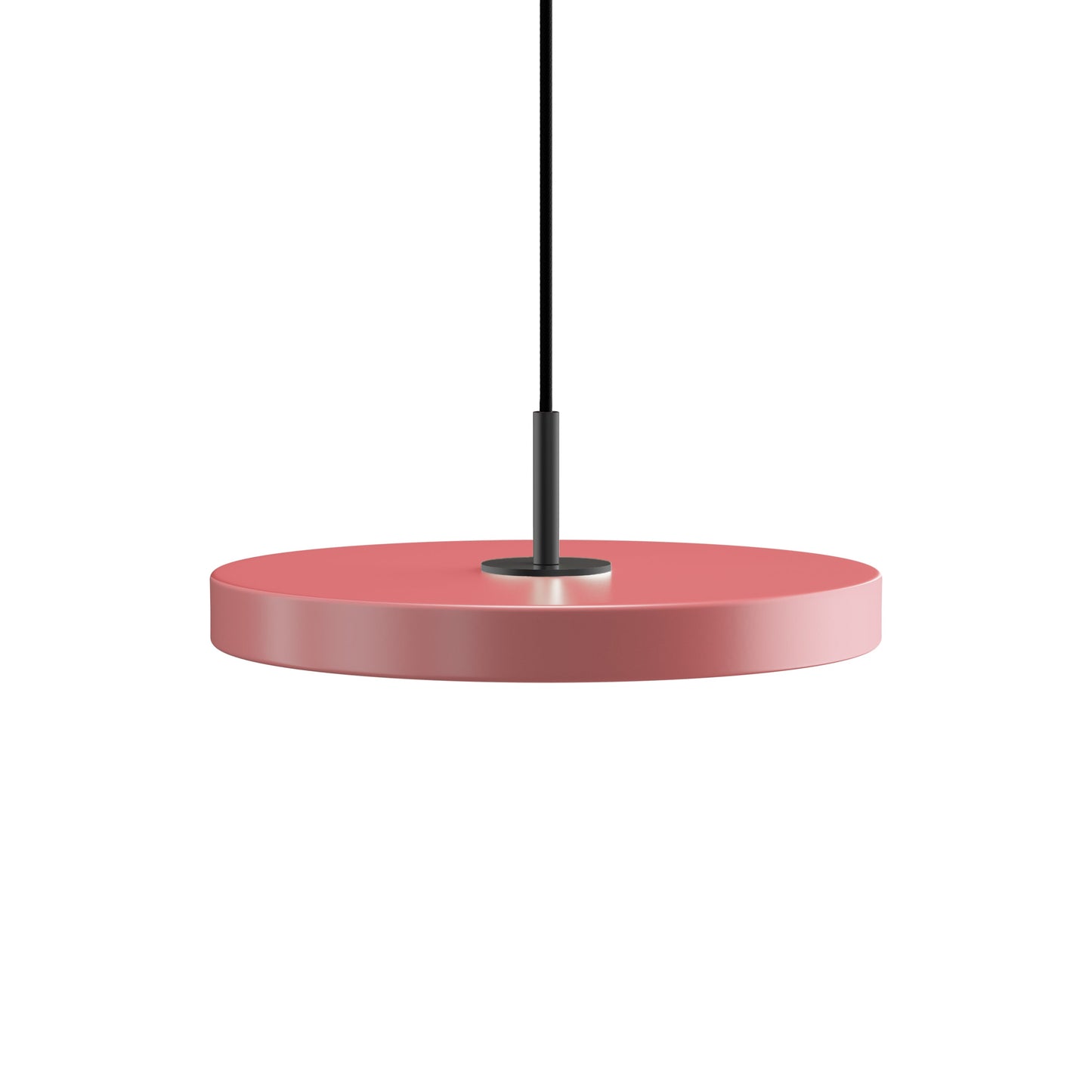 Asteria Pendant Light