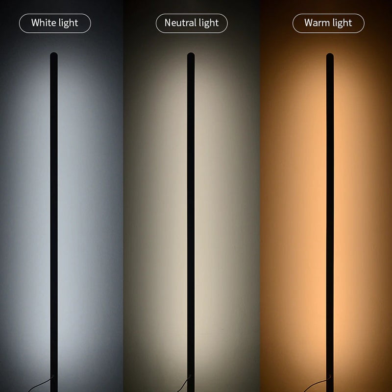 Briscoe Ambient Floor Lamp