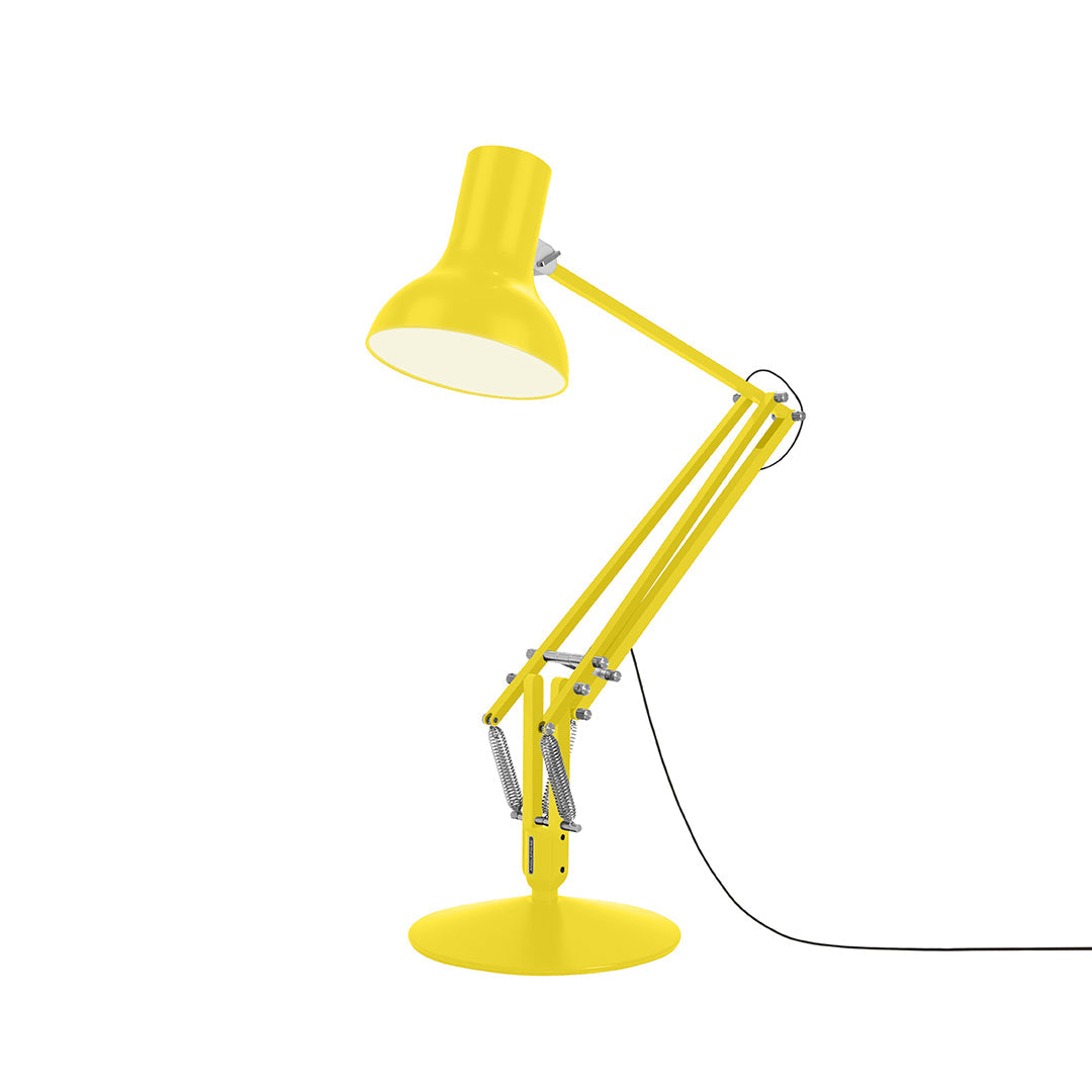 Type 75 Giant Floor Lamp