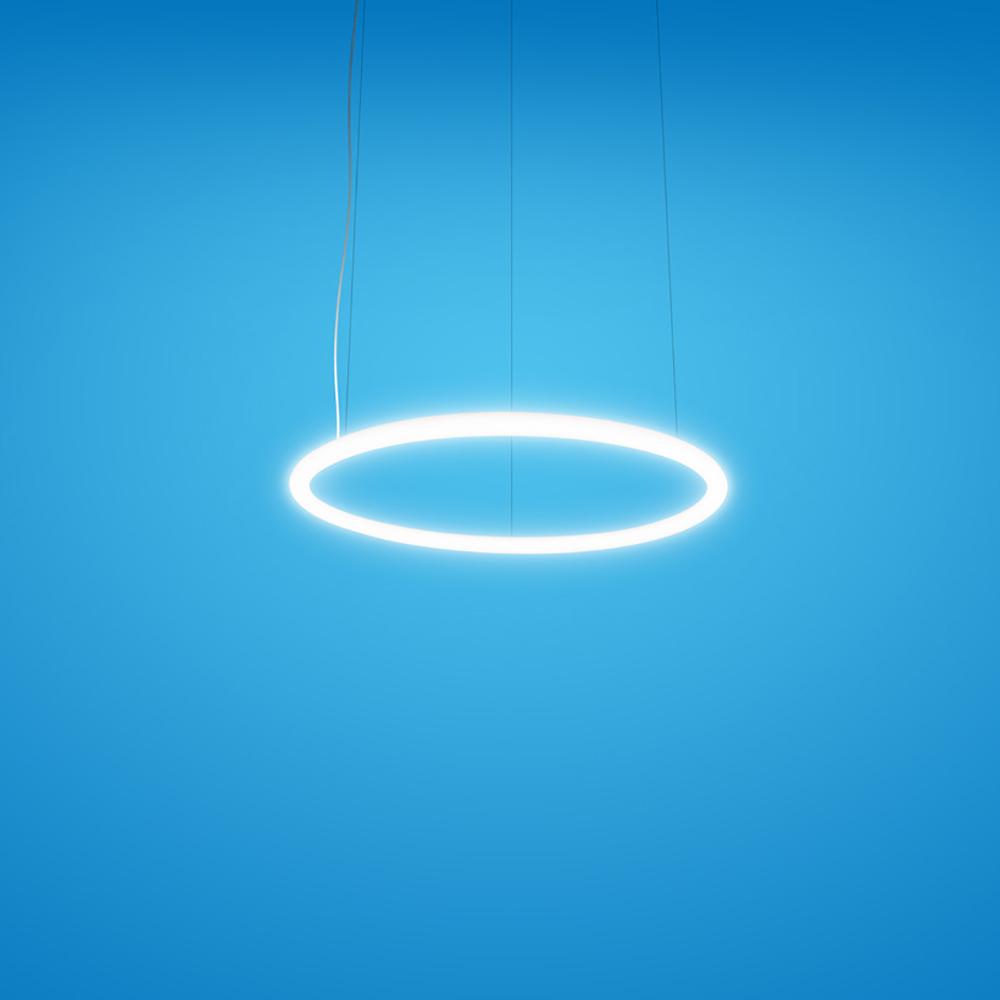 Alphabet of Light Circular Suspension Light